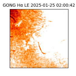 gong - 2025-01-25T02:00:42