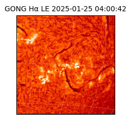 gong - 2025-01-25T04:00:42