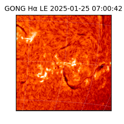 gong - 2025-01-25T07:00:42