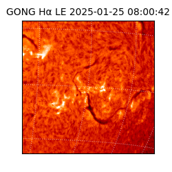 gong - 2025-01-25T08:00:42