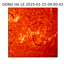 gong - 2025-01-25T09:00:43