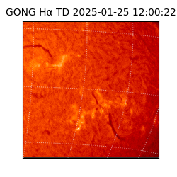 gong - 2025-01-25T12:00:22