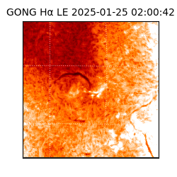 gong - 2025-01-25T02:00:42