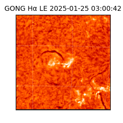 gong - 2025-01-25T03:00:42
