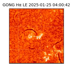 gong - 2025-01-25T04:00:42