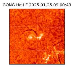 gong - 2025-01-25T09:00:43