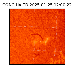 gong - 2025-01-25T12:00:22
