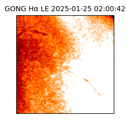 gong - 2025-01-25T02:00:42