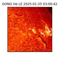 gong - 2025-01-25T03:00:42