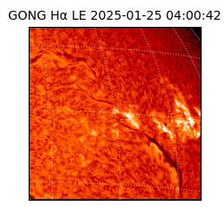gong - 2025-01-25T04:00:42