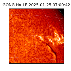 gong - 2025-01-25T07:00:42