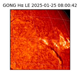 gong - 2025-01-25T08:00:42