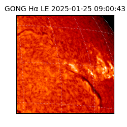 gong - 2025-01-25T09:00:43
