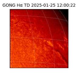 gong - 2025-01-25T12:00:22