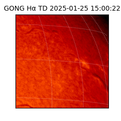 gong - 2025-01-25T15:00:22