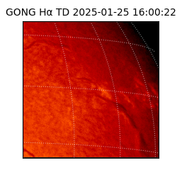 gong - 2025-01-25T16:00:22
