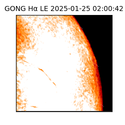 gong - 2025-01-25T02:00:42