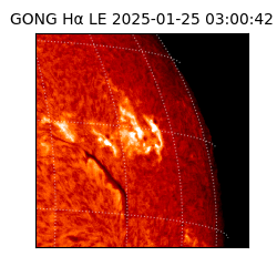 gong - 2025-01-25T03:00:42