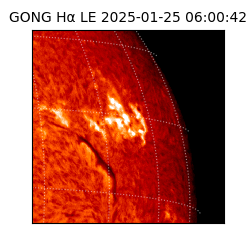 gong - 2025-01-25T06:00:42