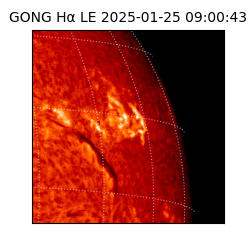 gong - 2025-01-25T09:00:43