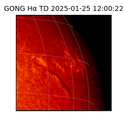 gong - 2025-01-25T12:00:22