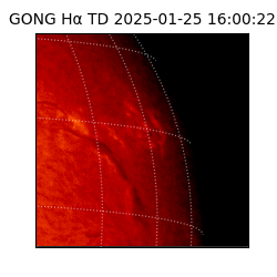 gong - 2025-01-25T16:00:22