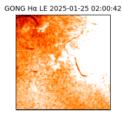 gong - 2025-01-25T02:00:42