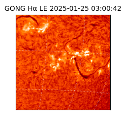 gong - 2025-01-25T03:00:42