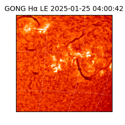 gong - 2025-01-25T04:00:42