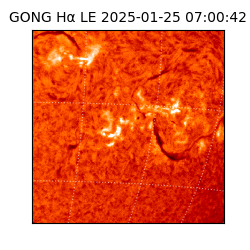 gong - 2025-01-25T07:00:42