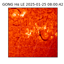 gong - 2025-01-25T08:00:42
