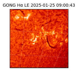 gong - 2025-01-25T09:00:43