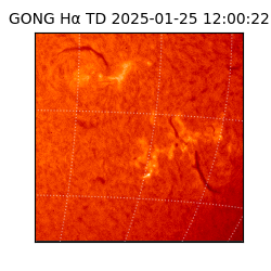 gong - 2025-01-25T12:00:22
