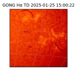 gong - 2025-01-25T15:00:22