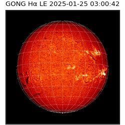 gong - 2025-01-25T03:00:42