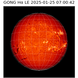 gong - 2025-01-25T07:00:42