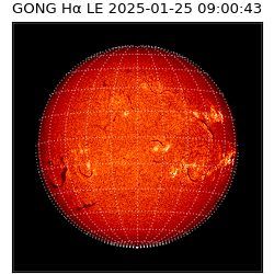 gong - 2025-01-25T09:00:43