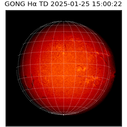 gong - 2025-01-25T15:00:22