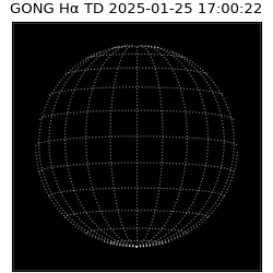 gong - 2025-01-25T17:00:22
