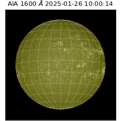 saia - 2025-01-26T10:00:14.126000