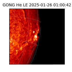 gong - 2025-01-26T01:00:42