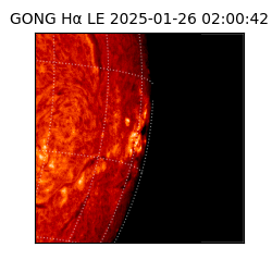 gong - 2025-01-26T02:00:42