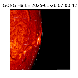 gong - 2025-01-26T07:00:42