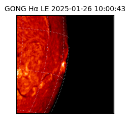 gong - 2025-01-26T10:00:43
