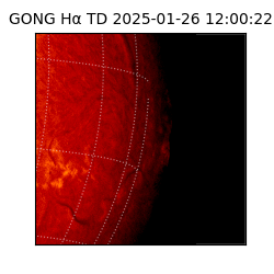 gong - 2025-01-26T12:00:22