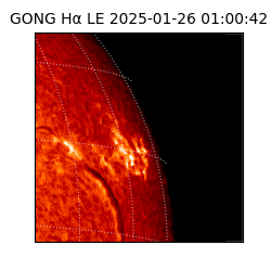 gong - 2025-01-26T01:00:42