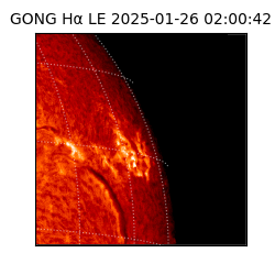 gong - 2025-01-26T02:00:42