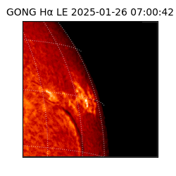 gong - 2025-01-26T07:00:42