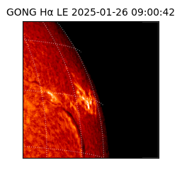 gong - 2025-01-26T09:00:42
