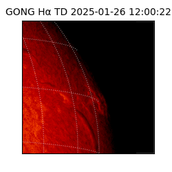 gong - 2025-01-26T12:00:22